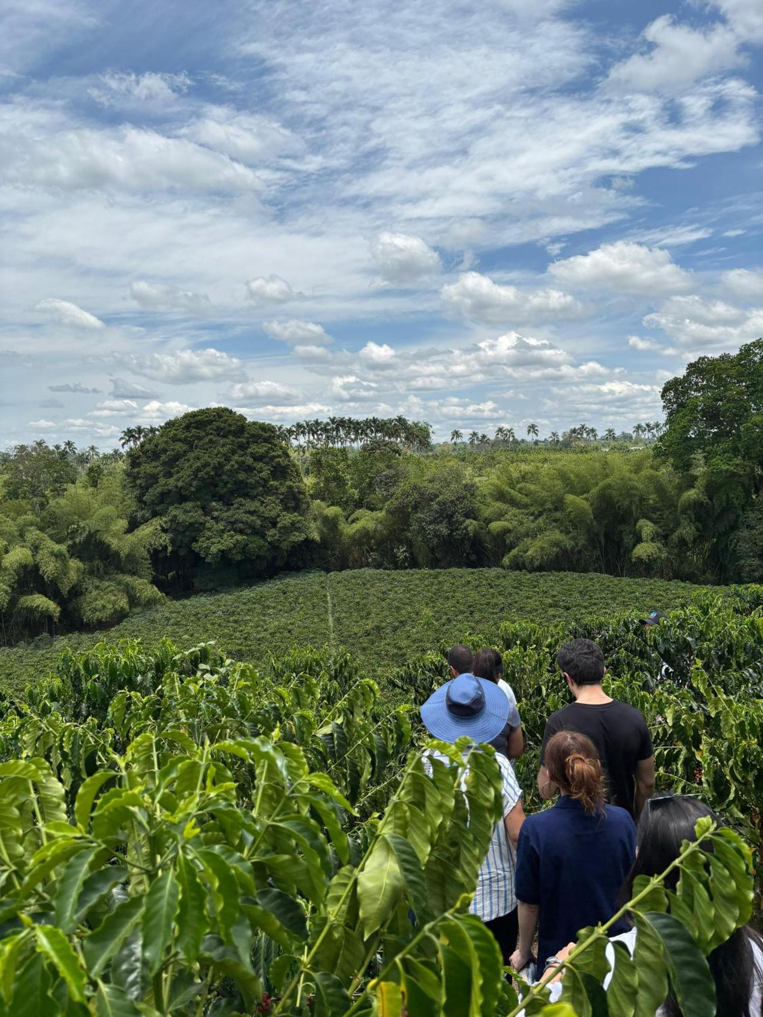 Hacienda Bambusa El Caimo 外观 照片