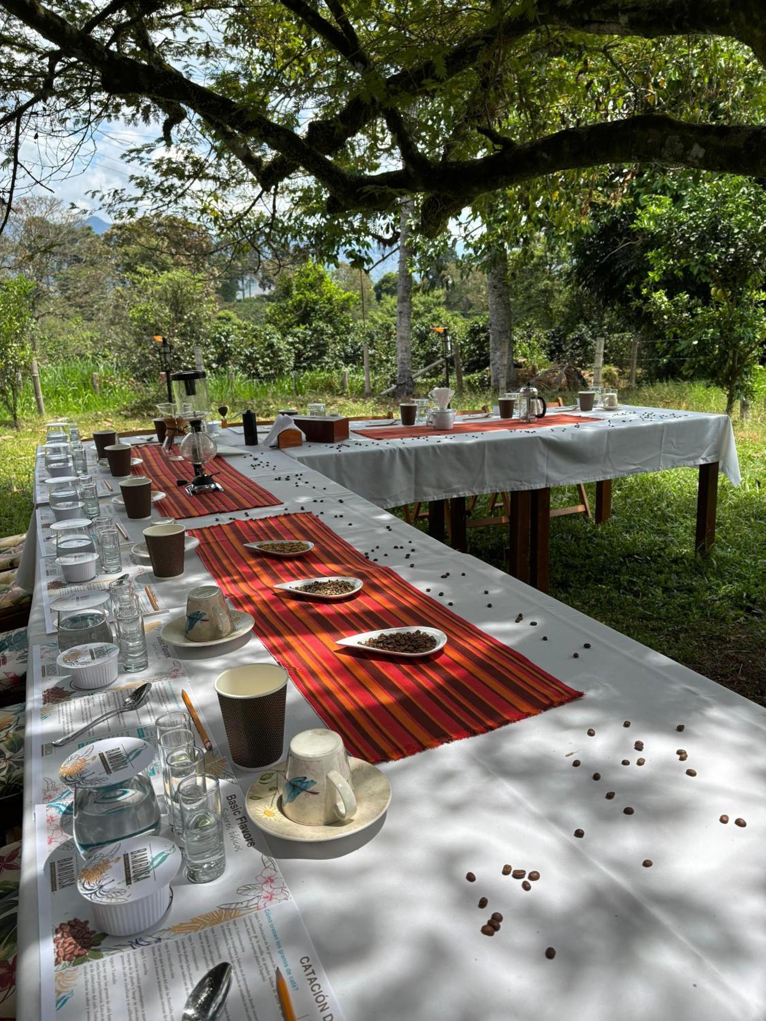 Hacienda Bambusa El Caimo 外观 照片
