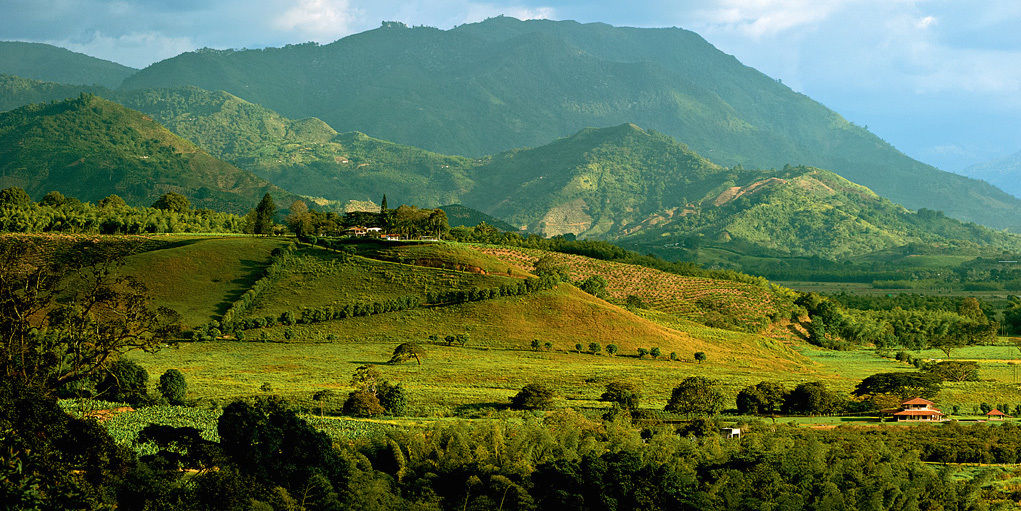Hacienda Bambusa El Caimo 外观 照片