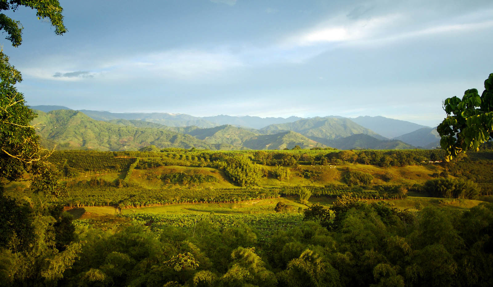 Hacienda Bambusa El Caimo 外观 照片