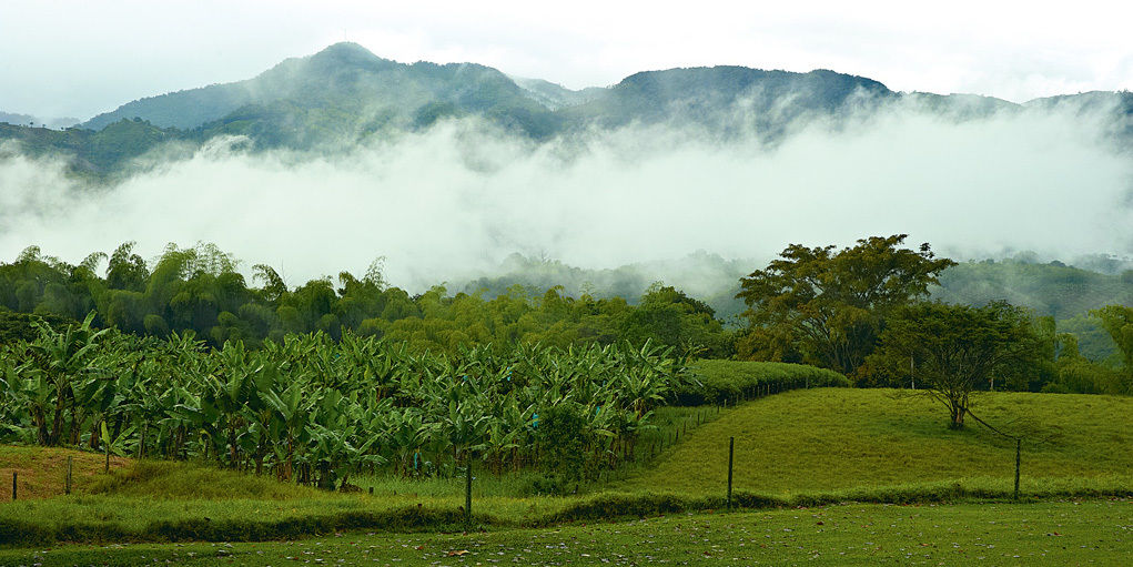 Hacienda Bambusa El Caimo 外观 照片
